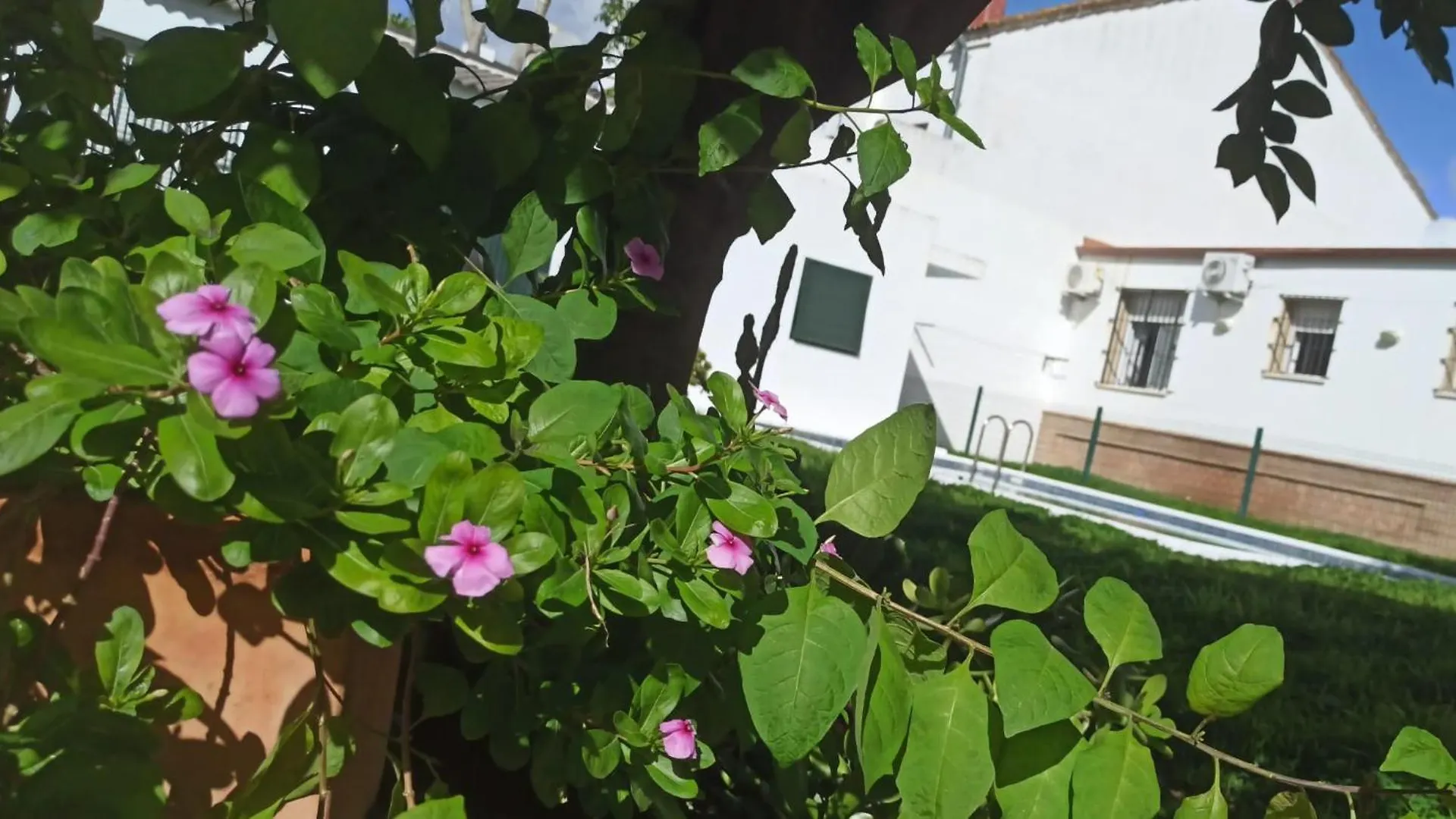 Casa Turquesa Villa Valencina de la Concepcion